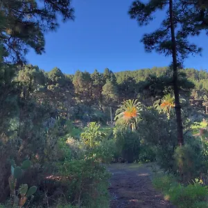 https://monte-frio.tenerifehoteles.net